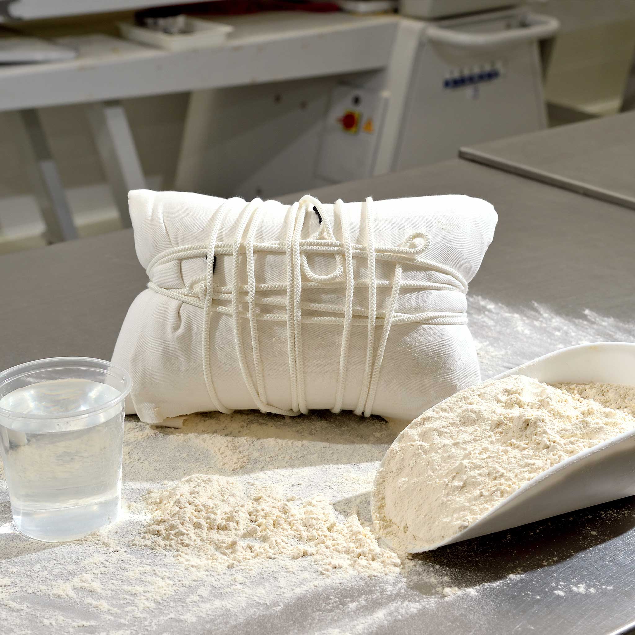 lievito-madre lievito madre per dolci